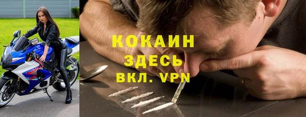 гидра Покачи
